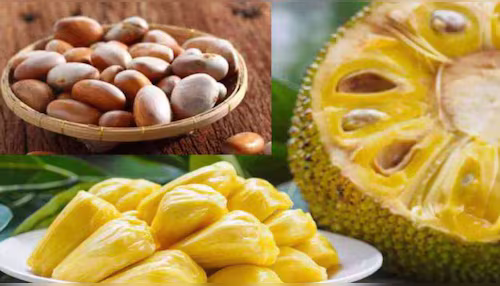 ಹಲಸಿನ ಹಣ್ಣಿಗಿಂತ ಅದರ ಬೀಜ ಈ ಮಾರಕ ರೋಗಗಳಿಗೆ ಮದ್ದು..!