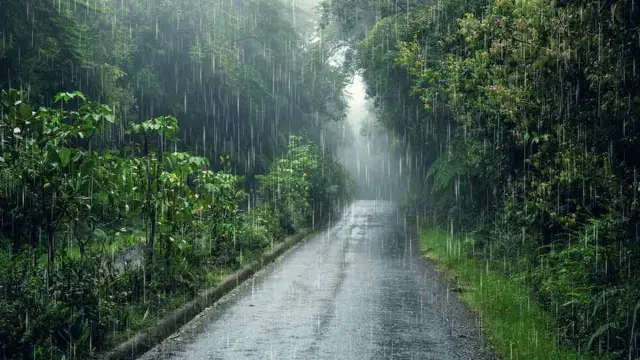 A yellow alert has been issued for several districts in coastal Karnataka.!. 