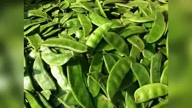 Boost Your Health with Flat Beans: A Nutrient-Packed Superfood..!