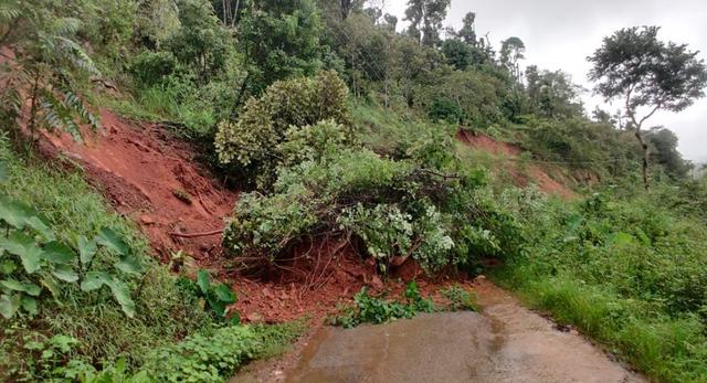 Heavy Rainfall in Chikkamagaluru Causes Fallen Trees, Halts RoadTraffic..!