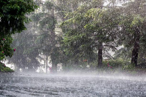 Karnataka Faces Severe Rainfall: Red Alert Issued, Schools and Colleges Closed..!