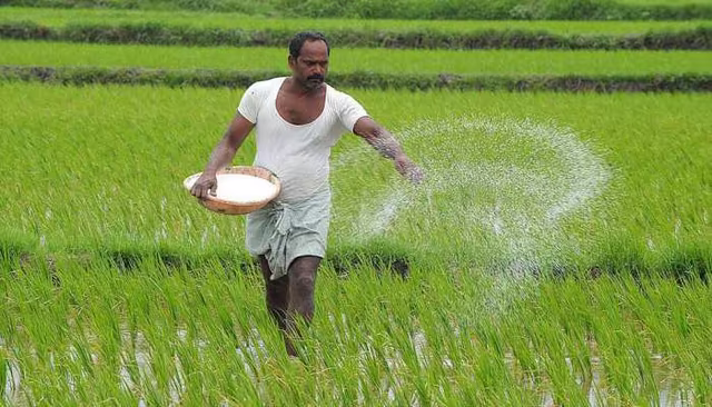 Kalaburagi Farmers Face Daylight Robbery in Fertilizer and Seed Scam..!
