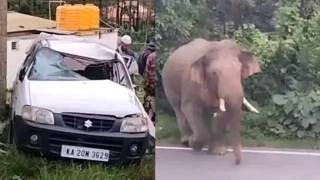 ನಾಯಿ ಬೊಗಳಿದ್ದಕ್ಕೆ ಕಾರನ್ನೇ ಎತ್ತಿ ಎಸೆದ ಒಂಟಿ ಸಲಗ!