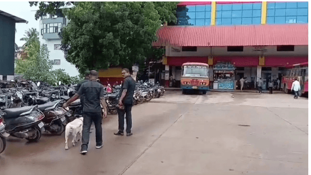 ಭಟ್ಕಳ ಬಾಂಬ್ ಬೆದರಿಕೆ ಇ-ಮೇಲ್: ಪೊಲೀಸ್ ತುರ್ತು ಕ್ರಮ, ಭದ್ರತಾ ತಪಾಸಣೆ ನಡೆಯುತ್ತಿದೆ!