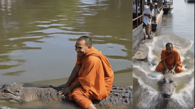  ಸನ್ಯಾಸಿಯೊಬ್ಬರು ಮೊಸಳೆಯ ಮೇಲೆ ಸವಾರಿ ಮಾಡುವ ವೀಡಿಯೋ ನಿಜವೇ..?