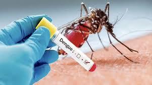 Dengue Outbreak in Bengaluru: Over 2,800 Cases Reported, BBMP Enforces Fines!