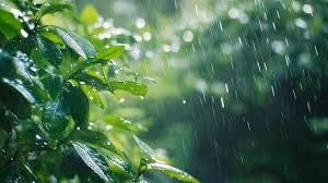 Delhi Weather Update: August 6, 2025..!