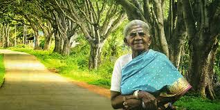 Saalumarada Thimmakka Files Complaint Against Illegal Felling of Over 200 Trees in Belur..!