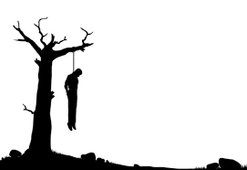 Article banner