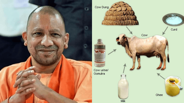ಉತ್ತರ ಪ್ರದೇಶದಲ್ಲಿ ಉತ್ಪಾದನೆಯಾಗಲಿದೆ ಪಂಚಗವ್ಯ ಔಷಧ ಪದಾರ್ಥಗಳು.. ಯೋಗಿ ಸರ್ಕಾರದ ಮಹತ್ವದ ನಿರ್ಧಾರ.!