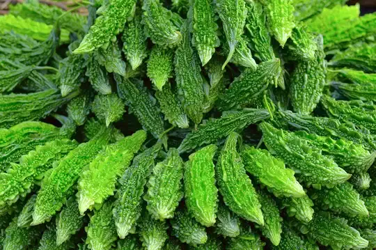 ತರಕಾರಿ ಉತ್ತಮ ಆರೋಗ್ಯಕ್ಕೆ ರಹದಾರಿ.!